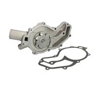 THERMOTEC D1M049TT Pompe à eau