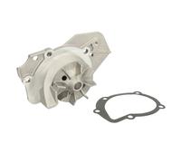 Pompe à eau THERMOTEC D1P013TT