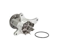 Pompe à eau THERMOTEC D1P049TT