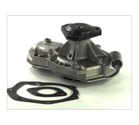 Pompe à eau THERMOTEC D1R003TT
