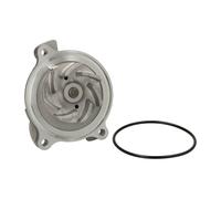 Pompe à eau THERMOTEC D1W018TT