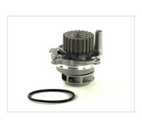 Pompe à eau THERMOTEC D1W028TT