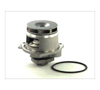 Pompe à eau THERMOTEC D1X028TT