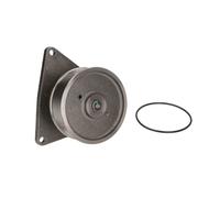 THERMOTEC WP-CM102 Pompe à eau