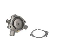Pompe à eau THERMOTEC VS-PK106