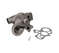 Pompe à eau THERMOTEC WP-PK113