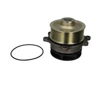 Pompe à eau THERMOTEC WP-IV111