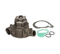 Pompe à eau THERMOTEC WP-ME109