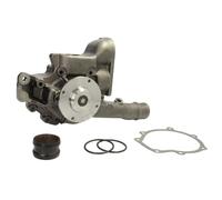 Pompe à eau THERMOTEC WP-ME170