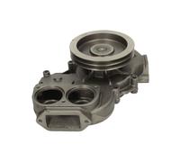 Pompe à eau THERMOTEC WP-MN110