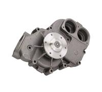 THERMOTEC WP-MN116 Pompe à eau