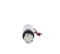 Pompe À Engrenages Électrique, Compatible For SOVOFLO KGP-308XP, 24V DC 1.8-3.0 L/min 5 Bars, Distributeur Automatique D'eau Chaude/café Au Lait(KGP-312XP,220v)