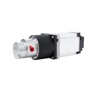 Pompe à engrenages en acier inoxydable 220 V, pompe magnétique haute pression, micro-pompe doseuse for huile et eau