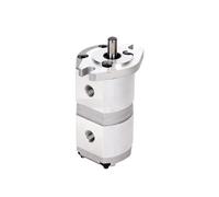 Pompe à engrenages hydraulique HGP-11A-F5-5R pression Modèle Cylindrée 0,8(HGP-11A-F5-5R)