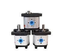 Pompe à engrenages Pompe à huile hydraulique CBN-F04/06/10/14/16/20/25 CBN-G06/10/14/16 Droite/gauche Clavette plate Extrémité cannelée(18Plain Key,G316 Left-handed)