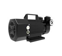 Pompe à essence 12V/24V avec système antidéflagrant Micro pompe à carburant Pompe diesel électrique auto-amorçante 600W 60l/min(12V black)