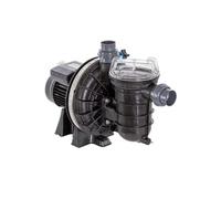 Pompe à filtration 0.5 cv, 9m3/h mono Sta Rite p-str-051e2 noir G