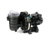 Pompe à sable - PENTAIR - La Sta-Rite 1 CV / 16 m³/h Mono - Filtre à sable - Noir