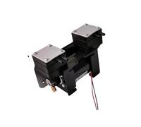 Pompe À Vide À Pression Négative Élevée 12V/220V, Grand Instrument De Beauté, Pompe À Diaphragme À Double Tête Muette, Micro Pompe À Air(AC220V 1pcs)