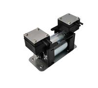 Pompe À Vide À Pression Négative Élevée 12V/220V, Grand Instrument De Beauté, Pompe À Diaphragme À Double Tête Muette, Micro Pompe À Air(DC12V 1pcs)