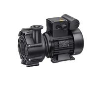Pompe BADU 21-40/53G - Compatible mur filtrant GS14