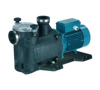 Pompe de Circulation et Filtration pour Piscine avec à filtre MPC21m Mono 0,75Hp - Calpeda
