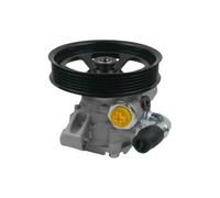 Pompe de direction assistée 12589753 20902363 20945812 20954812 Convient pour Buick Convient pour Enclave Tous les modèles 2008-2013