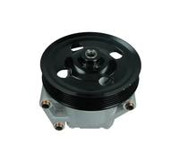 Pompe de direction assistée hydraulique 48-0160 MAXGEAR pour FORD LAND ROVER