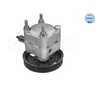 Meyle Pompe de direction assistée hydraulique 514 631 0021 pour Ford Volvo