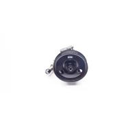 Pompe de direction assistée hydraulique avec poulie 10SKV114 ESEN SKV pour FORD