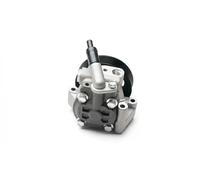 ESEN SKV 10SKV215 Pompe de direction assistée