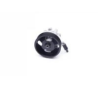 ESEN SKV Pompe de direction assistée hydraulique 10SKV275 avec poulie pour Nissan Murano II Z51