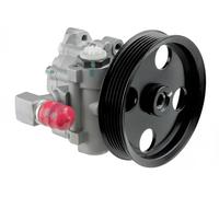 Pompe de direction assistée hydraulique avec poulie d'entraînement multiple NTY