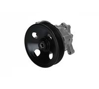 Pompe de direction assistée hydraulique avec poulie PP136 KAMOKA