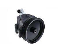 NTY Clothing Exchange Pompe de direction assistée SPW-FR-036 hydraulique avec poulie pour FORD