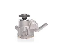 ESEN SKV Pompe de direction assistée hydraulique 10SKV165 sans poulie pour VW