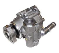 JP Group Pompe de direction assistée 1145100500 – pour Seat Ibiza 6K, Passat 3, Polo Classic