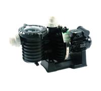 Pompe de filtration - 5P6R - 0.55kW* 0.75CV - STA-RITE