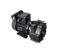 Pompe filtration badu speck 21-40/55g 25 m3/h pour groupe filtrant mx25 - Filtrinov