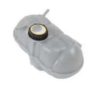 Pompe De Lave-glace Pour Ford Pour Mustang 2015-2022 3M5H8100AD Réservoir Liquide Refroidissement Voiture Réservoir D'expansion Radiateur FR3Z8A080A(FR3Z8A080Awith cover)