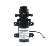 Pompe de puisard Submersible FL-2202 12V DC Mini Pompe à Eau Submersible Pompe à Vide 20m Lift Pompe de Transfert