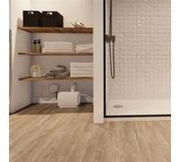 Pompe de relevage pour receveurs de douche e traplats Sanifloor 3