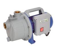 Pompe de Surface Jet41 600W - Corps - Performance Élevée et Silencieuse - D-Work