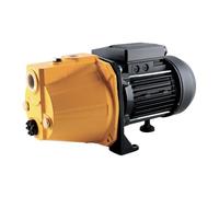 Pompe de surface mono-cellulaire 750W - Hauteur de refoulement max 43m