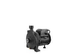 Pompe de surface solaire hybride DC/AC 750 W, 6,6 m³/h, tête de 35 m for l'irrigation des terres