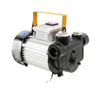 Pompe DieselPompe à essence électrique Pompe à huile électrique auto-amorçante pour transfert de carburant diesel 220 V 60 l/min 550 W avec filtre Station-service mobile