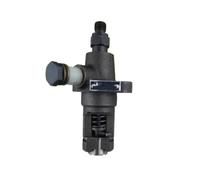 Pompe d'injecteur de carburant à buse droite 168F 170F, Compatible avec la pompe à eau de générateur de motoculteur 165F 168F 170F F165