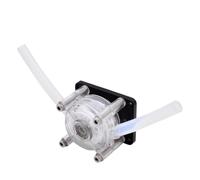 Pompe doseuse péristaltique à haut débit 12 V/24 V DC for applications d'aquarium et de laboratoire(PUMPHEADONLY)