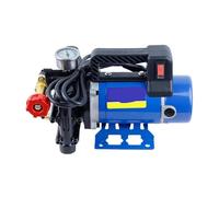 Pompe Électrique Agricole Haute Pression, Arrosage Par Pulvérisation, Lavage De Voiture, Irrigation, Double Cylindre, Piston 12 V/24 V/48 V/60 V/220 V(60V)