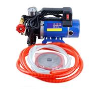Pompe Électrique Agricole Haute Pression, Arrosage Par Pulvérisation, Lavage De Voiture, Irrigation, Double Cylindre, Piston 12 V/24 V/48 V/60 V/220 V(24V)